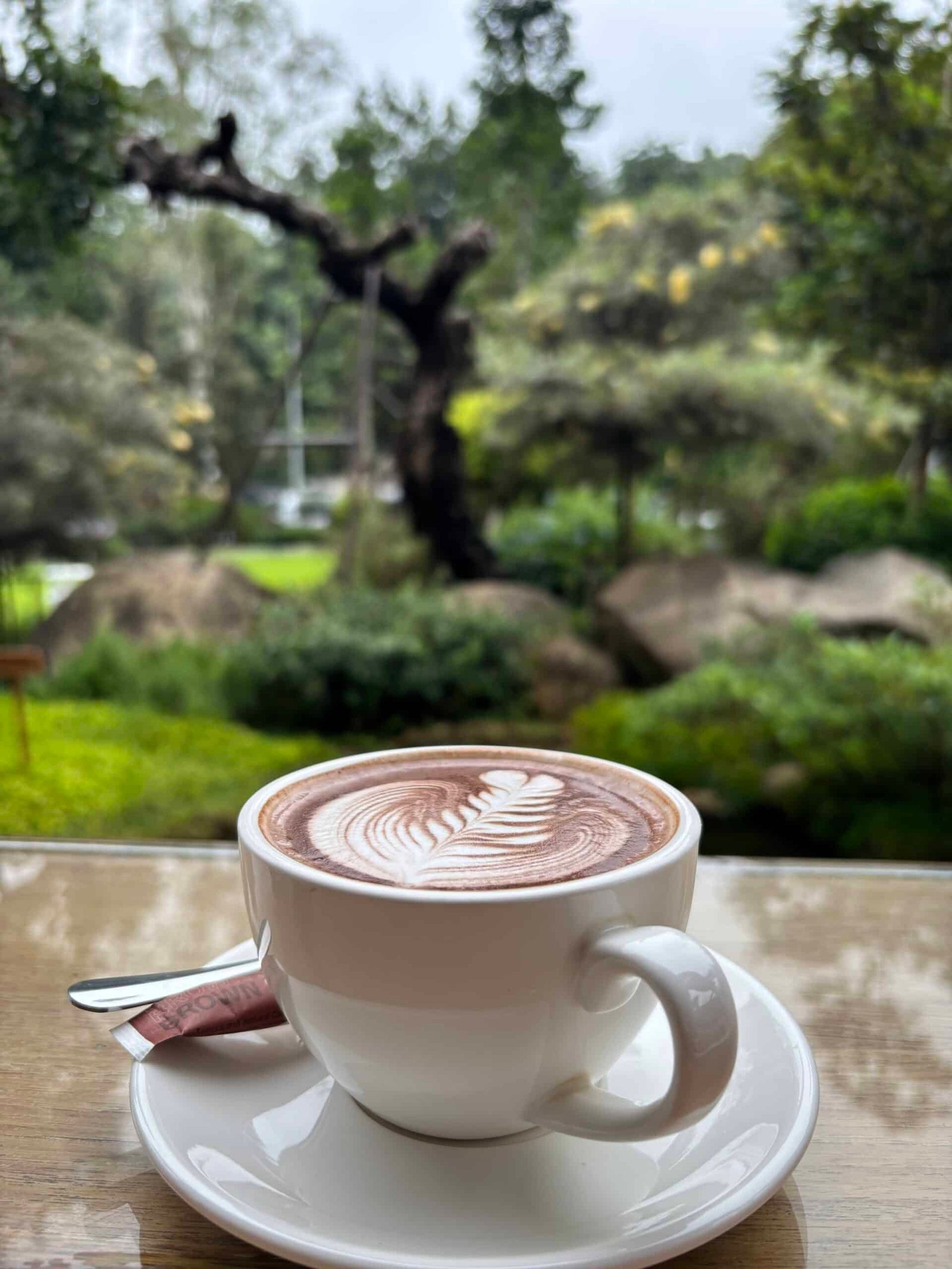 T-Story Mae Kampong breakfast spread with Thai and Western options