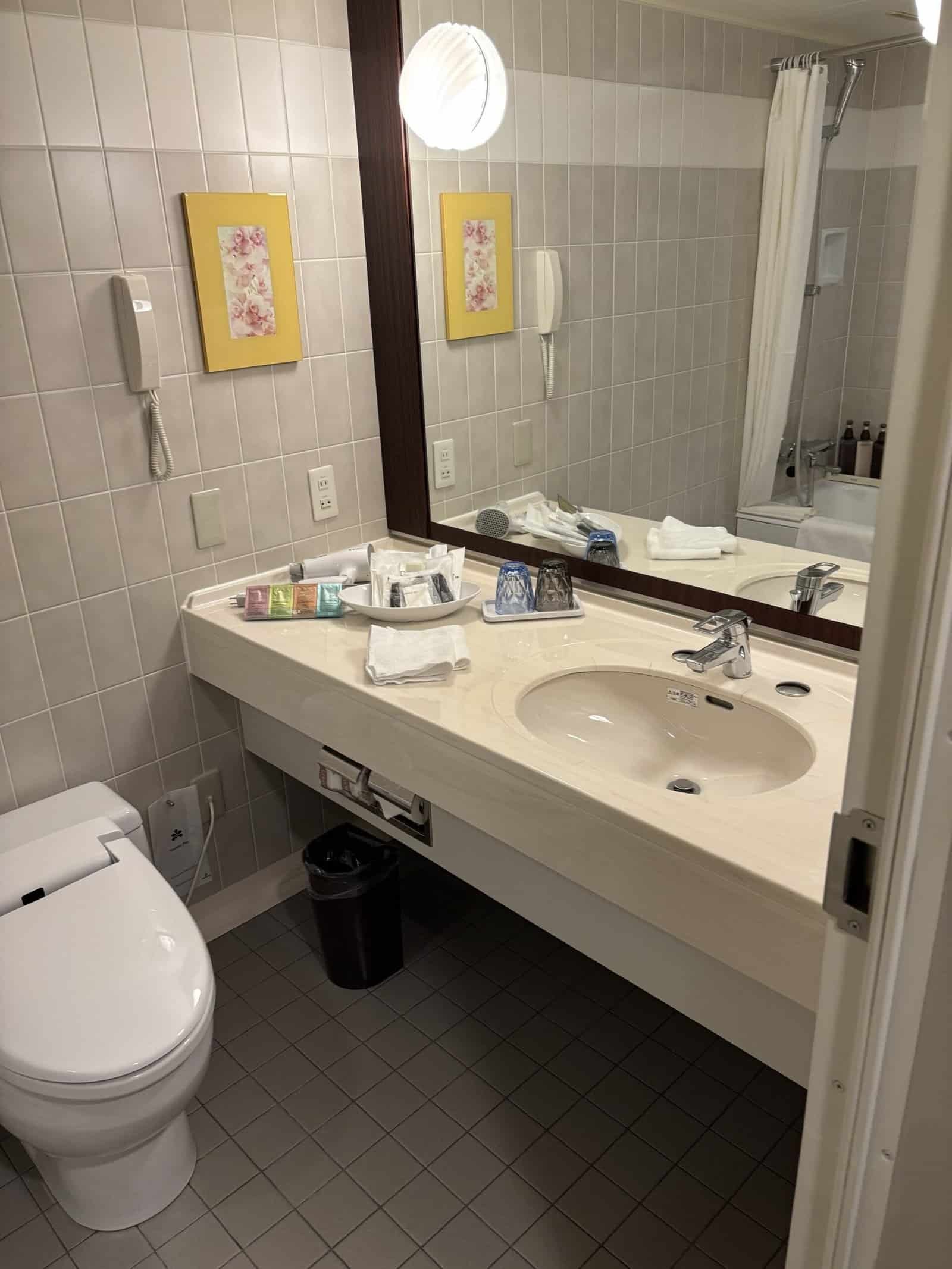 Hotel Nikko Kansai Airport Room View