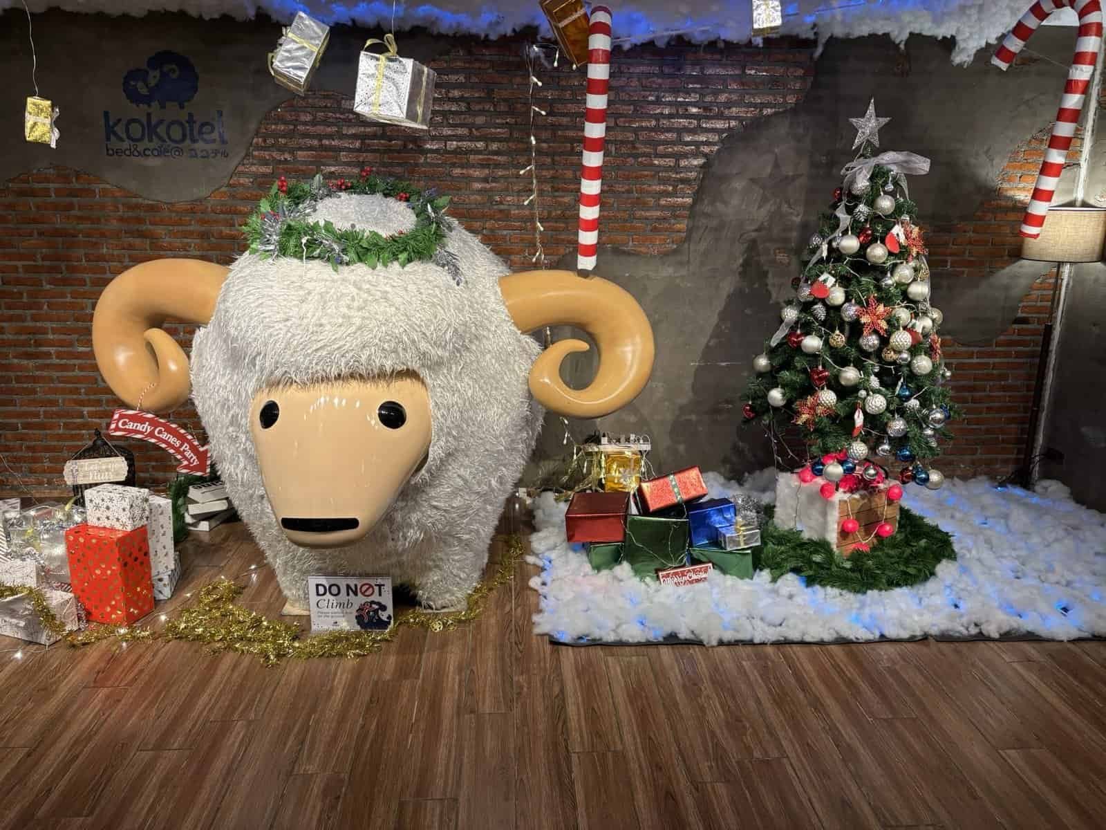 Kokotel Chiang Mai Nimman review - budget hotel near Nimman Road