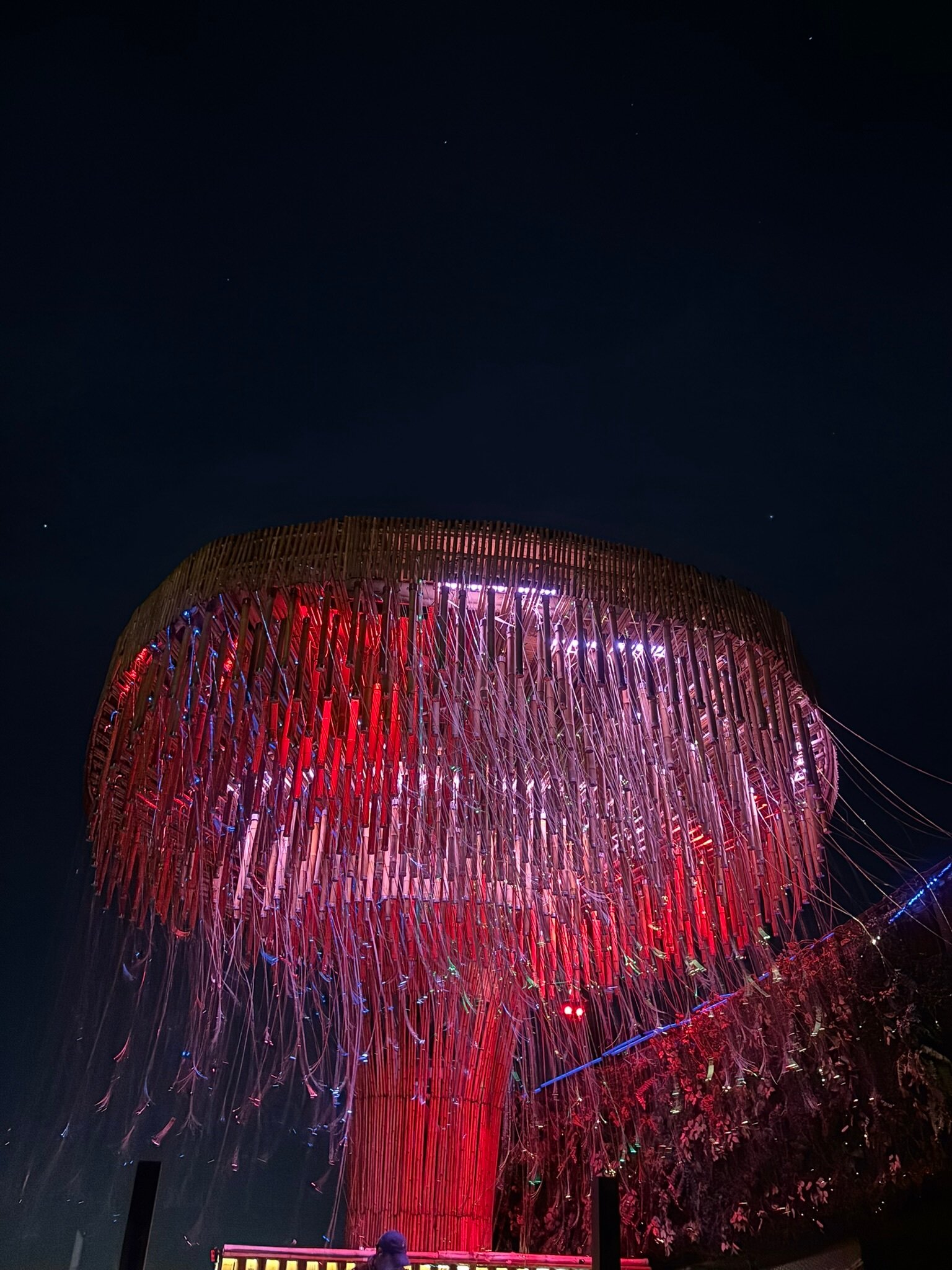 Tichuca rooftop bar iconic jellyfish installation