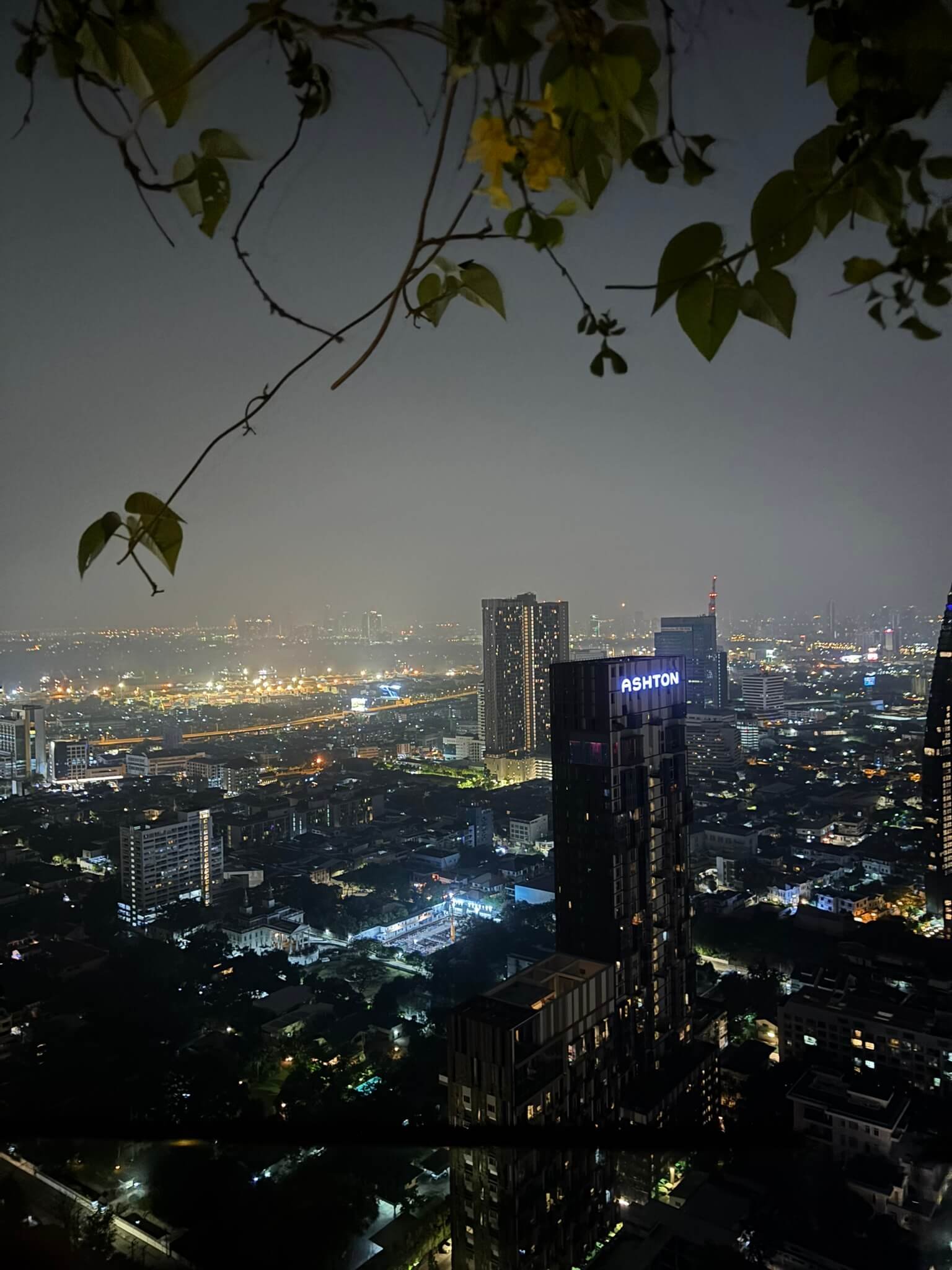 Tichuca rooftop bar Bangkok skyline view